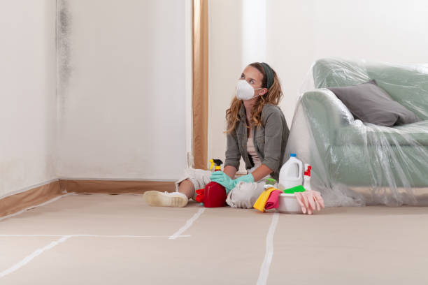 Reliable Mold Testing contractor in Mifflinburg, PA by WQB Mold Removal
